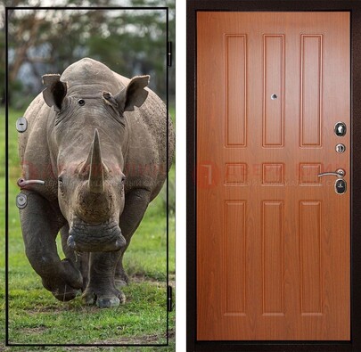Металлическая дверь с фотопечатью носорога ДФ-31 в Люберцах