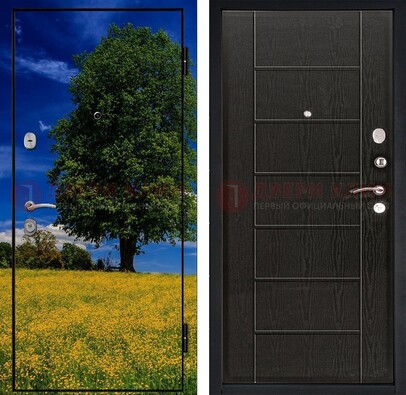 Железная дверь с фотопечатью дерева в поле ДФ-36 в Люберцах